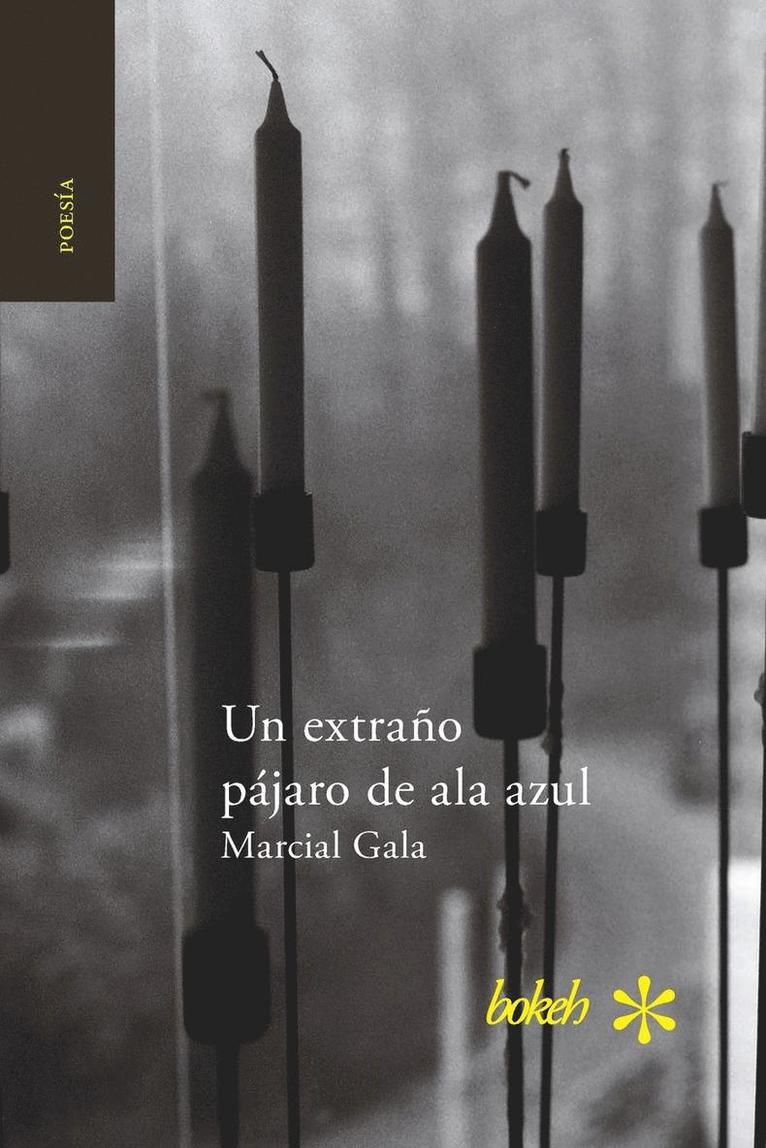 Marcial Gala - extraño pájaro de ala azul, Häftad