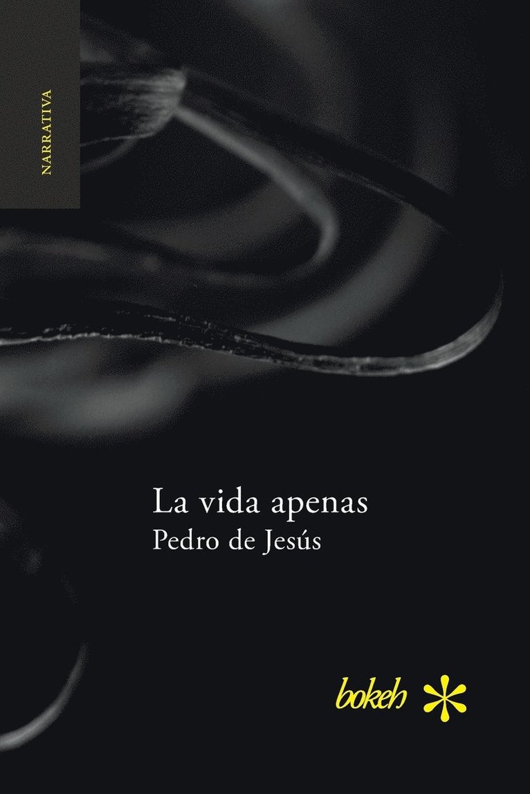 Pedro de Jesús - vida apenas, Häftad