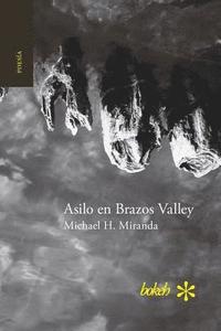 bokomslag Asilo en Brazos Valley