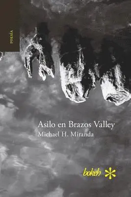 Michael H Miranda - Asilo en Brazos Valley, Häftad. Tillgänglighet: Lägg i varukorg