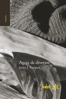 Aguja de diversos 1