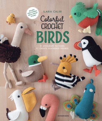 Colorful Crochet Birds 1