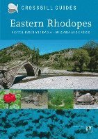 bokomslag Eastern Rhodopes