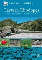 Eastern Rhodopes 1