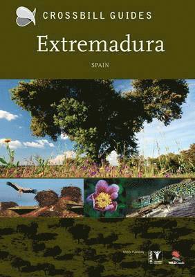 Extremadura 1