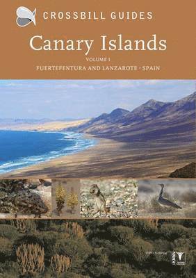bokomslag Canary Islands