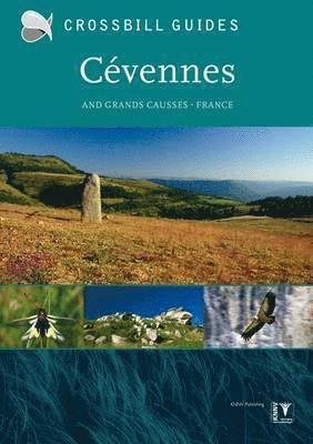 bokomslag Cevennes and Grands Causses - France
