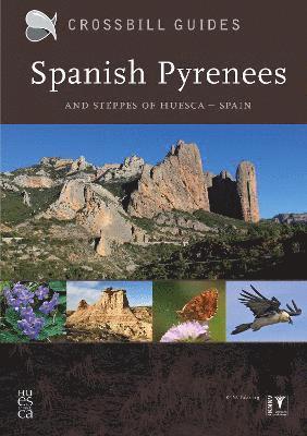 Dirk Hilbers, Kees Woutersen - Spanish Pyrenees, Häftad