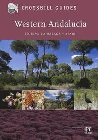 bokomslag Western Andalucia: I