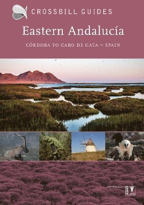 Eastern Andalucia: II 1