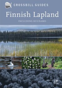 bokomslag Finnish Lapland