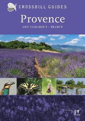 bokomslag Provence