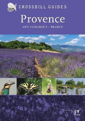 Provence