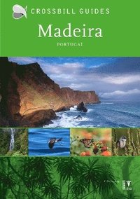 bokomslag Madeira