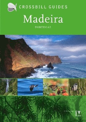 Madeira 1