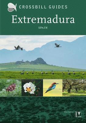 Extremadura 1