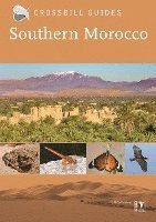bokomslag Southern Morocco