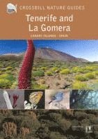 bokomslag Tenerife And La Gomera