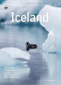 bokomslag Iceland