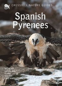 bokomslag Crossbill Nature Guide Spanish Pyrenees