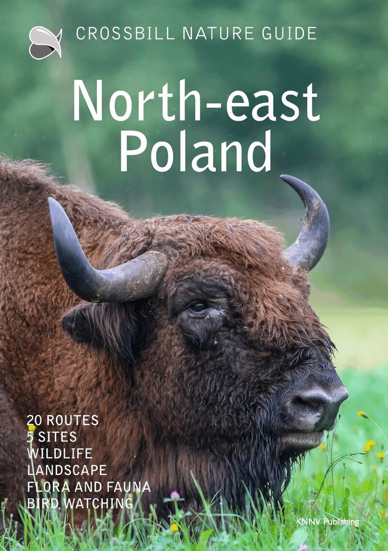 Dirk Hilbers - Crossbill Nature Guide North-east Poland, Häftad