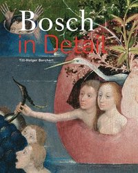 bokomslag Bosch in Detail