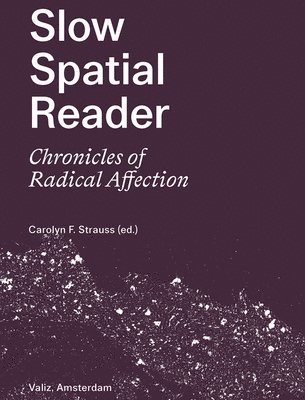 Carolyn F Strauss, Carolyn F. Strauss - Slow Spatial Reader, Häftad