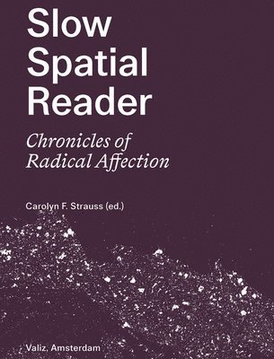Slow Spatial Reader 1