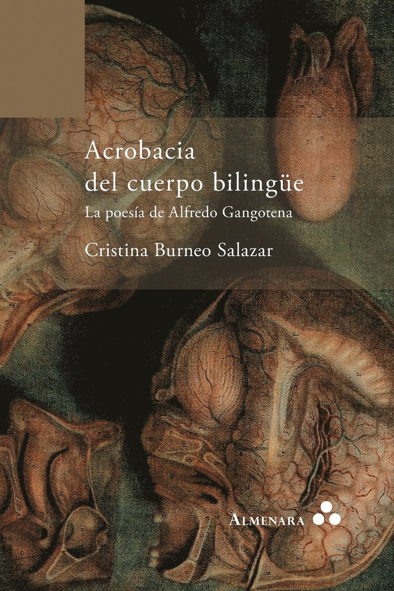 Cristina Burneo Salazar - Acrobacia del cuerpo bilingüe. La poesía de Alfredo Gangotena, Häftad
