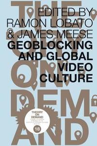 bokomslag Geoblocking and Global Video Culture