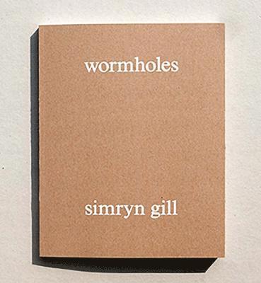 bokomslag Wormholes