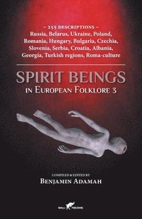 bokomslag Spirit Beings in European Folklore 3