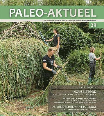 Groninger Instituut voor Archeologie, Groninger Instituut Voor Archeologie - Paleo-aktueel 29, Häftad