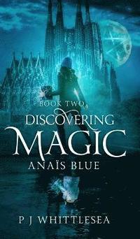 bokomslag Discovering Magic