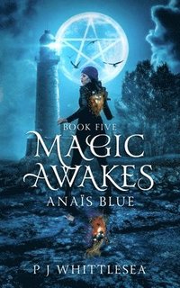 bokomslag Magic Awakes