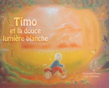 bokomslag Timo et la douce lumière blanche