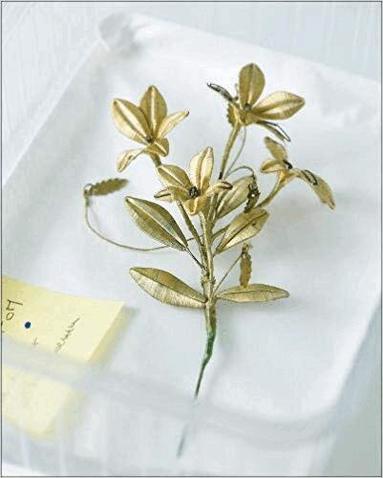 Berlinde De Bruyckere, Barbara Baert, Lieve Watteeuw - It Almost Seemed a Lily, Inbunden