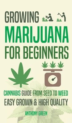 Growing Marijuana for Beginners 1