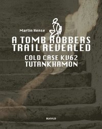 bokomslag A tomb robbers' trail revealed