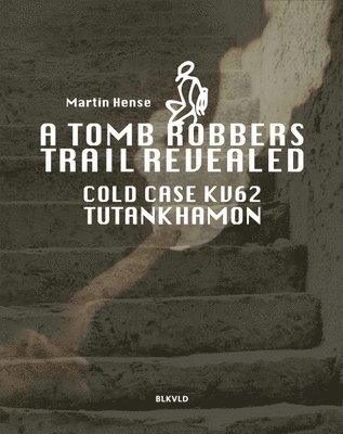 bokomslag tomb robbers' trail revealed