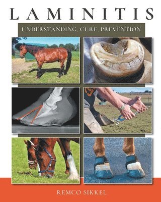bokomslag Laminitis