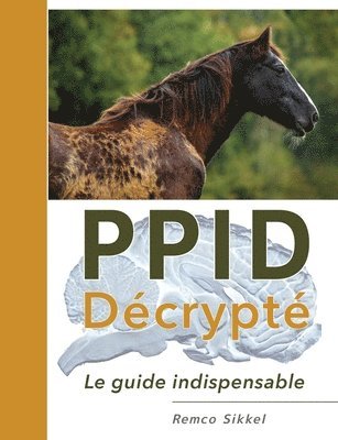 PPID Dcrypt 1