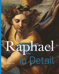 bokomslag Raphael in Detail