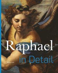 bokomslag Raphael in Detail