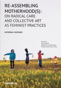 bokomslag Re-Assembling Motherhood(s)