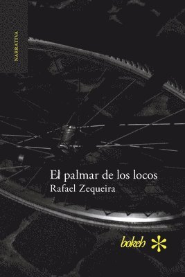 Rafael Zequeira - palmar de los locos, Häftad