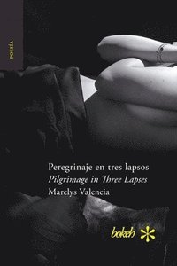 bokomslag Peregrinaje en tres lapsos / Pilgrimage in Three Lapses