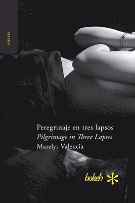 Peregrinaje en tres lapsos / Pilgrimage in Three Lapses 1