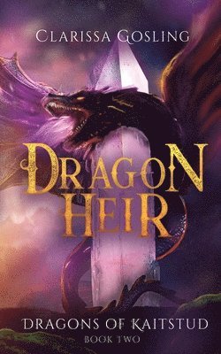 Dragon Heir 1