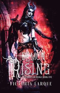 bokomslag Demon Rising
